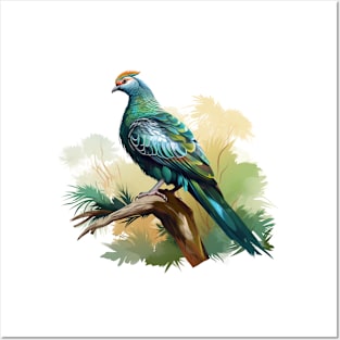 Nicobar Pigeon Posters and Art